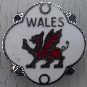 LAPEL BADGE WALES RED DRAGON CHROME ENAMEL FINISH - BRAND NEW - BUY 2 GET 3 - Picture 1 of 1