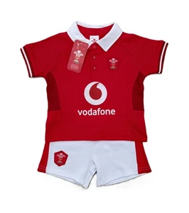 Wales Rugby Union Welsh Rugby WRU Baby T-Shirt & Shorts Set 9-12 Months Official - Picture 1 of 7