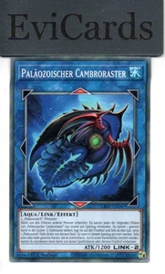 Paläozoischer Cambroraster - LIOV-DE047 - Common - 1.Auflage - Picture 1 of 1