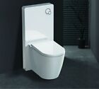 Glas-Sanitärmodul für Stand-WC inkl. Betätigungsplatte Spülkasten Vorwandelement