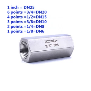 Check valve female thread high temperature acid-proof one-way check valve - Picture 1 of 4