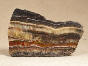 Losa pulida de travertino de calcita 6-1/4" OAL - Imagen 1 de 2