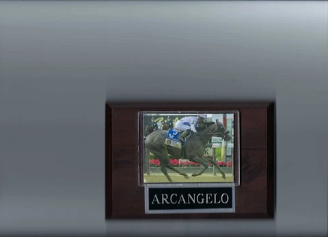 ARCANGELO PLAQUE HORSE RACING Cover