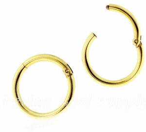 Gold IP Hinged Seamless Segment Ring Earring Nose Septum Cliker 20g 18g 16g 14g