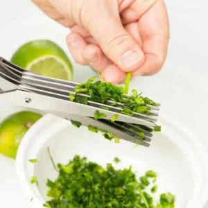 Multi-functional Stainles Steel Scissors shallot Sushi Shredded Scallion Cut Her - Picture 1 of 7