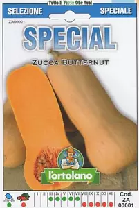 ZUCCA BUTTERNUT -SPECIAL - Picture 1 of 1