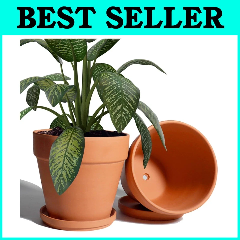 FREESHIP Vensovo 8 Inch Clay Pot for Plant With Saucer