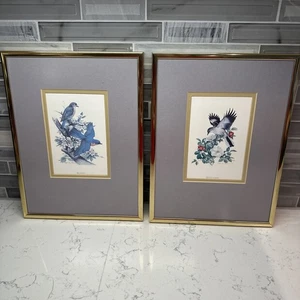 Roger Tory Peterson~2 Framed Lithography Prints~Bluebird & Mockingbird~12” X 9” - Picture 1 of 14