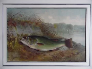 Samuel Kilbourne Game Fish of USA Large Mouthed Bass Original Antique lithograph - Picture 1 of 5