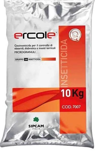 ERCOLE KG.10 - Immagine 1 di 1