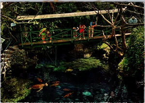 Cartolina d'epoca - Il buco del diavolo Bermuda non spedita - Foto 1 di 2