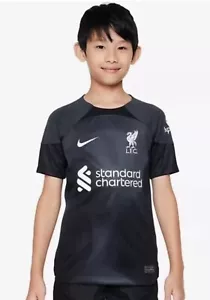 Nike Liverpool 22/23 KIDS DRI-FIT Stadium Shirt Large Neu mit Etikett - Bild 1 von 12