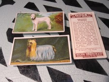 MAJOR DRAPKIN 'DOGS AND THEIR TREATMENT'' 1924 ODDS