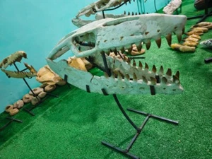 Big Offer Mosasaur Skull Jurassic Fossilized Prehistoric Ancient Sea Marine Rept - Picture 1 of 7