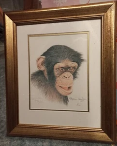 Monkey picture - Picture 1 of 3