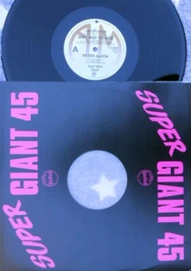 Peter Allen ORIG OZ 12 Don’t wish too hard NM ’79 A&M X13022 Pop Rock - Picture 1 of 1