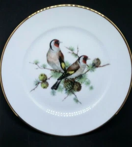 PRE-OWNED JKW WESTERN GERMANY ROSENTHAL GOLD TRIM FINE PORCELAIN BIRD PLATE - Picture 1 of 5