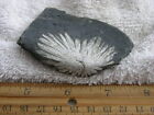 Chrysanthemum Stone with Single natural calcite crystal flower, Daxi FH79