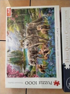 Puzzle Konvolut 3x1000 und 2x500 Teile - Bild 1 von 6