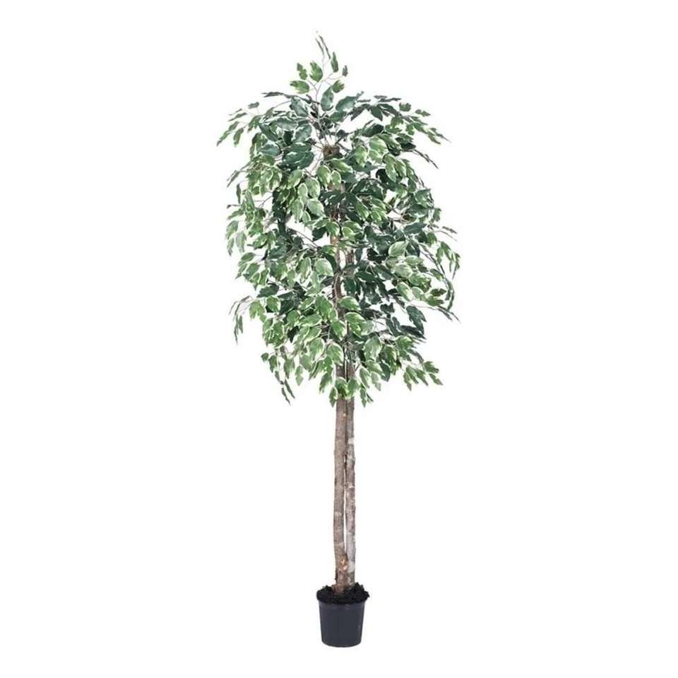 Árbol de ficus abigarrado artificial Vickerman 6' con maceta negra en verde/blanco Foto 1 de 1