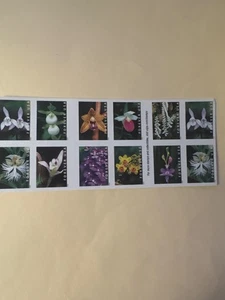 New Scott #5445-54-Wild Orchids forever booklet (20 stamps) MNH (2020) - Picture 1 of 2
