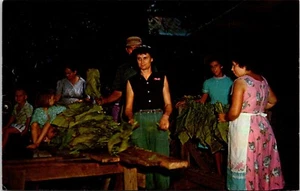 Envolturas de cigarros de curado de granero de granja de tabaco Dixie A75 - Imagen 1 de 2
