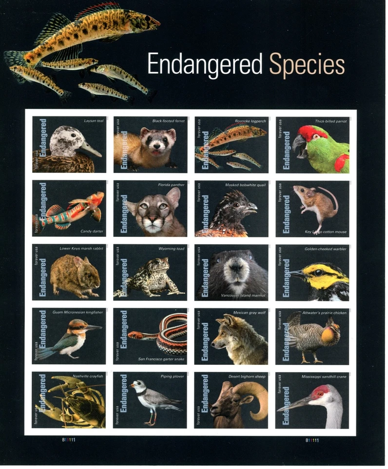Full sheet of 20, NDC, PO Fresh, Endangered Species - Image 1 of 1