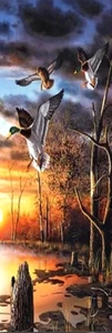 MALLARD DUCK LANDING LAKE/,DOG,CAT, FAIRIES,BIRD-BOOKMARKS - WITH TASSEL - Bild 1 von 1