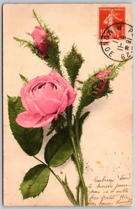 Postcard Pink Roses Springtime Flowers Colorful Pretty 1911 French Message Stamp - Picture 1 of 2