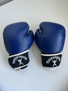 KÖRPERLICHER ERFOLG JUGEND BOXHANDSCHUHE 2-5 JAHRE 2 Unzen - Bild 1 von 3