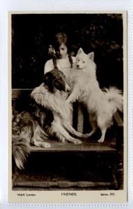 (Gd1564), RPPC, Dogs with Young Girl, Friends - Picture 1 of 4