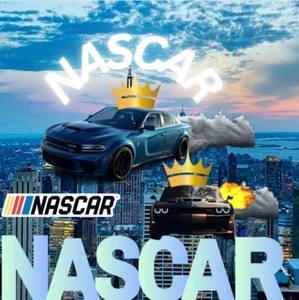 A pfp thats nascar and its worth $100 - Picture 1 of 1