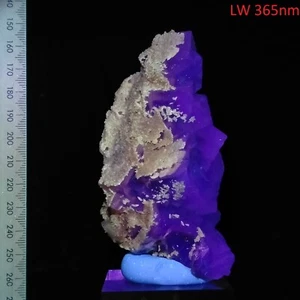 Fluorite fluorescent clear cluster w/ phosphorescent Dogtooth Calcite 0.32kg - Picture 1 of 10