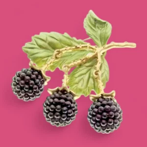 WILDE SCHWARZE BEEREN BROSCHE baumelnde Himbeere & Brombeeren Cottagecore Anstecknadel 6E - Bild 1 von 6