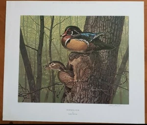 Wood Duck Art Print Larry Barton - Picture 1 of 10