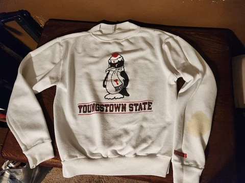 Vintage Youngstown State Penguins Sweatshirt Mens (smaller) Med White *see stain Cover
