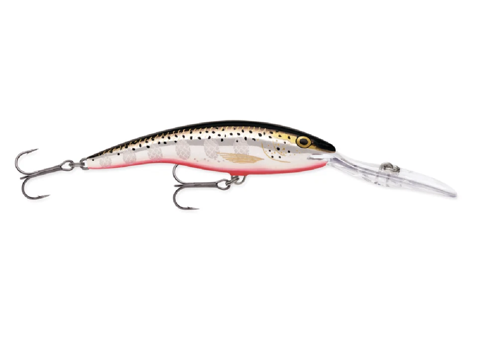 WOBBLER RAPALA DEEP TAIL DANCER 9cm/13g F - Silver Flash (KÖDER Zander Hecht Wel - Bild 1 von 1