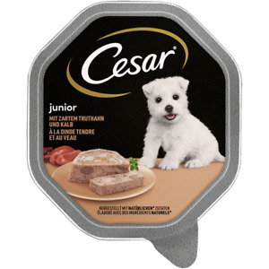 Cesar Bowl Junior Turkey & Calf 14 X 150g (14,24 €/ KG)