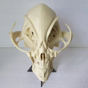 GREY ALIEN SKULL ~ Life-Size ~ Vintage 1996 RARE! ROSWELL/AREA 51/UFO - Picture 1 of 15