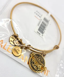 Alex & Ani 'Adventures Fill Your Soul' Charm Bangle Rafaelian Gold - Picture 1 of 3