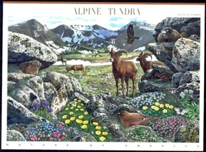 2007 ALPINE TUNDRA 9th Nature of America Series, MNH Sheet 10 x 41¢ Stamps #4198 - Imagen 1 de 2