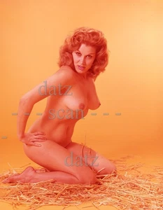 1950s Ron Vogel Transparency-sexy nude pinup girl Mia Moreno-cheesecake v400492 - Picture 1 of 1