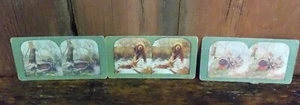 DEER HUNTING DOGS 3 STEREOVIEW CARDS 1898-1904 by T.W. INGERSOLL - Picture 1 of 4