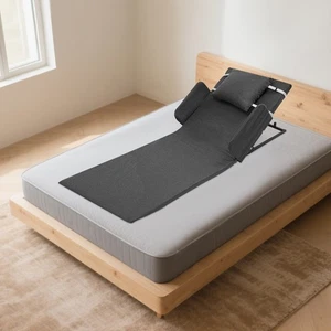 Respaldo Elevador Eléctrico para Ancianos con Reposabrazos Cama Eléctrica Respaldo Elevador - Imagen 1 de 18