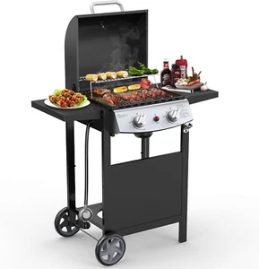 2 Burner BBQ Propane Gas Grill, Stainless Steel 20000 BTU, Equipped with 2 Sides - Picture 1 of 12