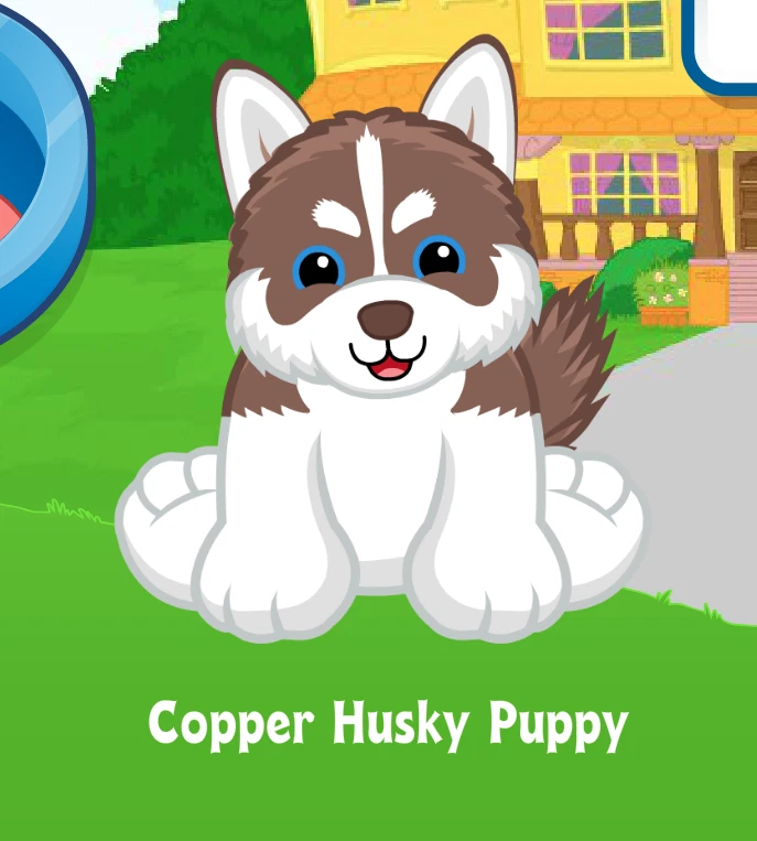 Webkinz Copper Husky Puppy Virtual PET Adoption Code Only Messaged Husky Code !! - Image 1 of 1