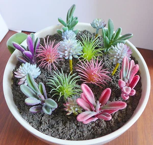 16 Beflockung Künstliche Sukkulenten Pflanzen Mini Kiefer Baum Gras - Bild 1 von 3