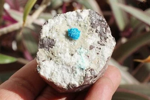 Increíble Heulandita Metrix Base Azul Cavansita Minerales Ásperos 107gm Piedra - Imagen 1 de 6