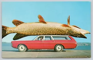 Postcard Exaggeration Big Fish - Picture 1 of 2