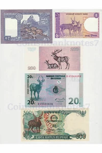 Lot of 5 World Banknotes by Topic / Deer. Buhtan, Bangladesh, Congo, and more - Picture 1 of 2